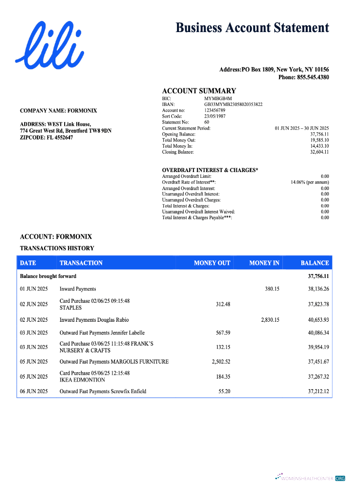 Download USA Lili organization account statement Word and PDF template Photoshop template